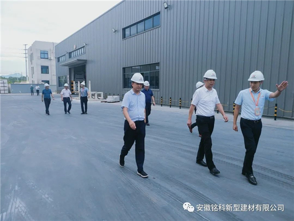 池州市貴池區(qū)領導來我司參觀考察